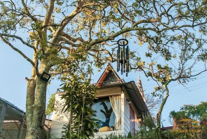 Top 9 căn homestay Đà Lạt View đẹp, Giá Rẻ