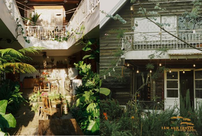 Top 9 căn homestay Đà Lạt View đẹp, Giá Rẻ