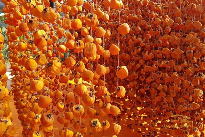 Địa chỉ mua hồng treo gió Đà Lạt đông khách nhất