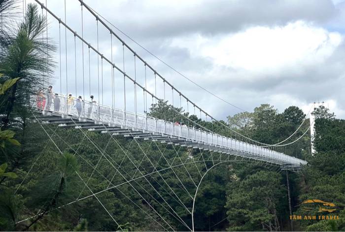 Khám phá Cầu Kính Đà Lạt - Điểm nhấn mới của du lịch Đà Lạt