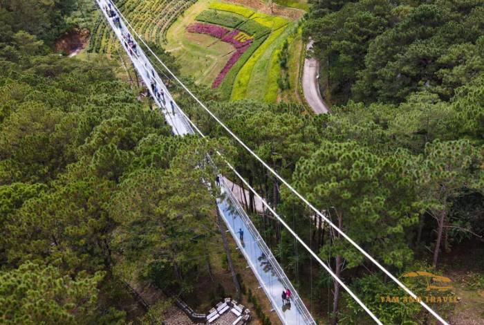 Khám phá Cầu Kính Đà Lạt - Điểm nhấn mới của du lịch Đà Lạt