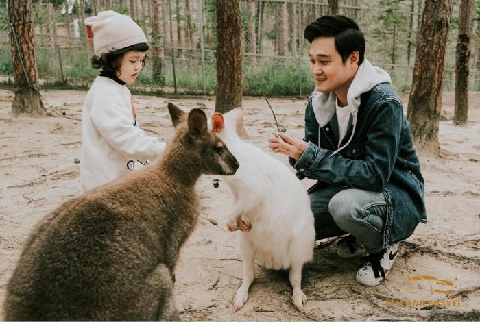 Khám phá Zoodoo Đà Lạt - Điểm đến thú vị cho gia đình