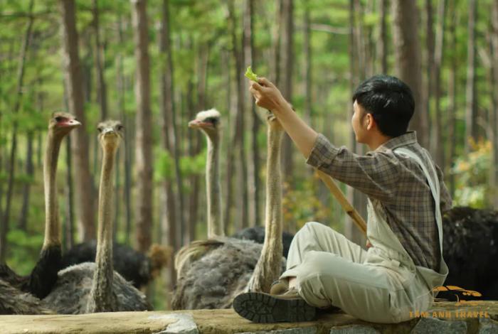 Khám phá Zoodoo Đà Lạt - Điểm đến thú vị cho gia đình