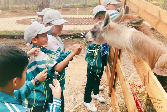 Khám phá Zoodoo Đà Lạt - Điểm đến thú vị cho gia đình