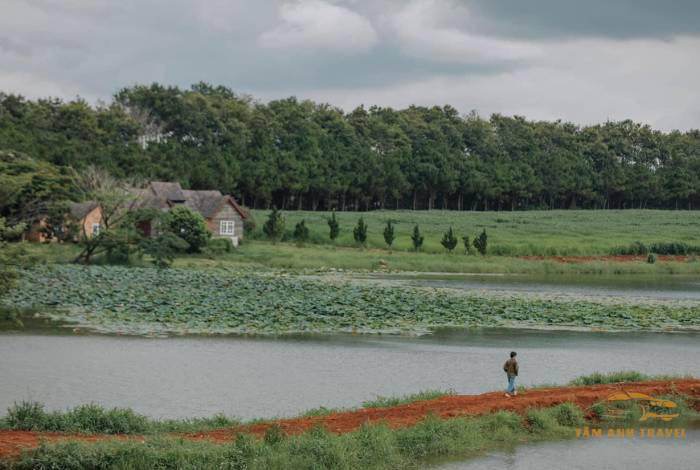 TOP 7 Farm Đà Lạt View đẹp, check in thả ga