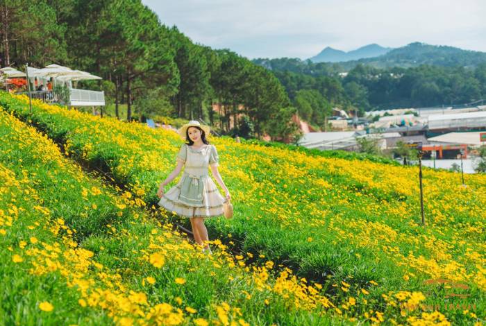 TOP 7 Farm Đà Lạt View đẹp, check in thả ga