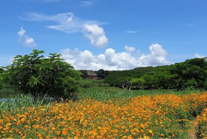 TOP 7 Farm Đà Lạt View đẹp, check in thả ga