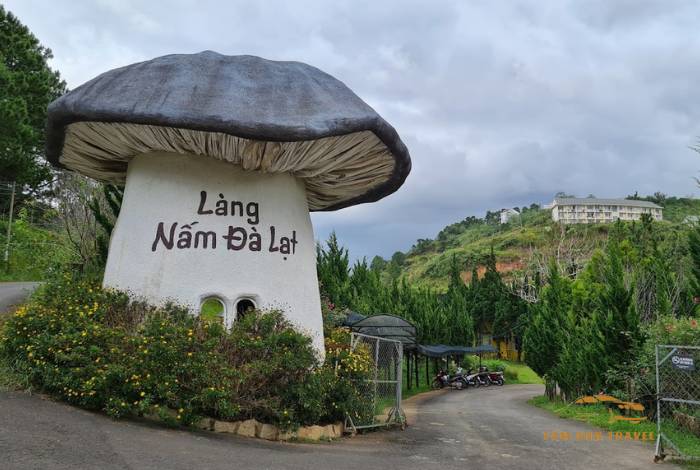 TOP 7 Farm Đà Lạt View đẹp, check in thả ga