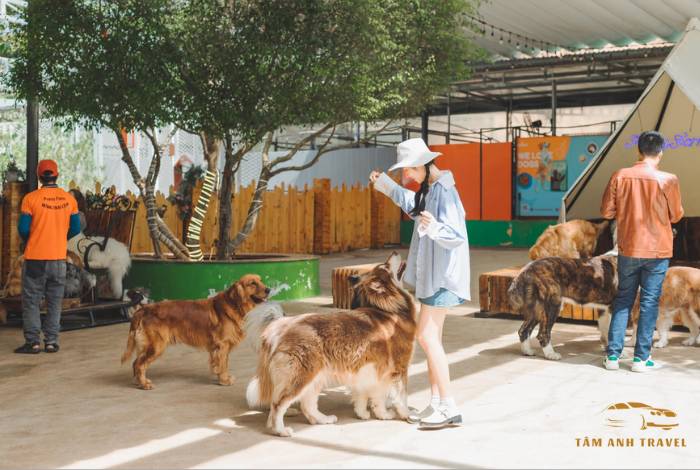 TOP 7 Farm Đà Lạt View đẹp, check in thả ga