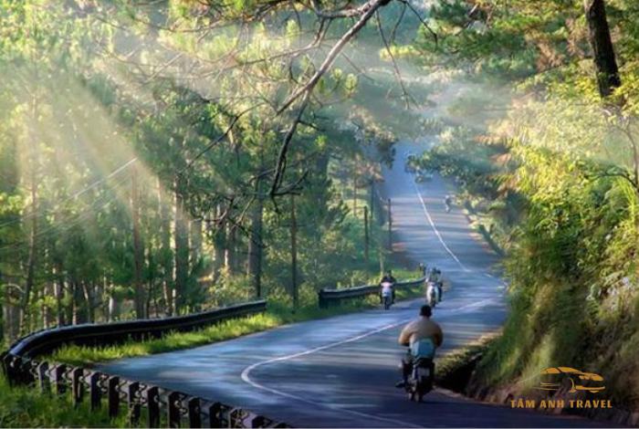 Đèo Mimosa Đà Lạt - Cung đường đèo đẹp nhất Đà Lạt