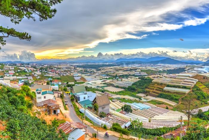 Kinh nghiệm du lịch Đà Lạt từ A-Z 2024