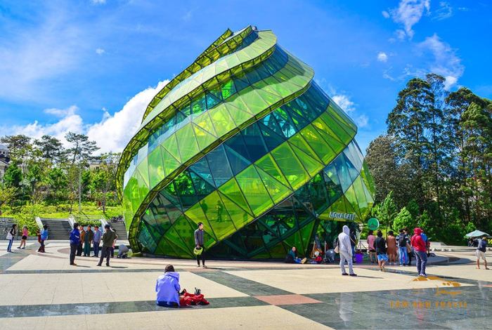 Check-in 10 Địa Điểm Du Lịch Đà Lạt Gần Trung Tâm Hút Khách