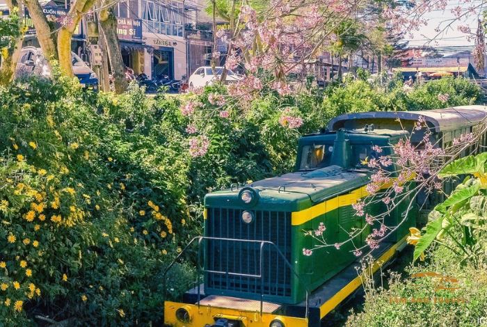 Check-in 10 Địa Điểm Du Lịch Đà Lạt Gần Trung Tâm Hút Khách