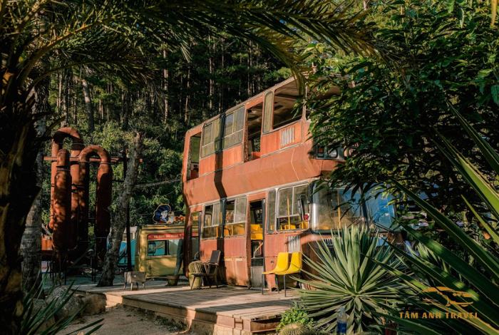 Kombi Land Đà Lạt: Sống Ảo Tại Ốc Đảo Xương Rồng Đầy Màu Sắc