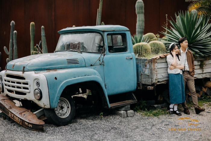 Kombi Land Đà Lạt: Sống Ảo Tại Ốc Đảo Xương Rồng Đầy Màu Sắc