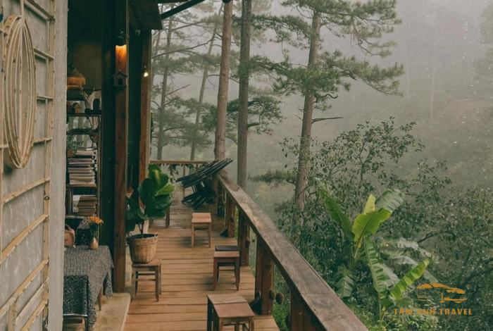 Mùa Mưa Đà Lạt: Kinh Nghiệm Vui Chơi Và Khám Phá