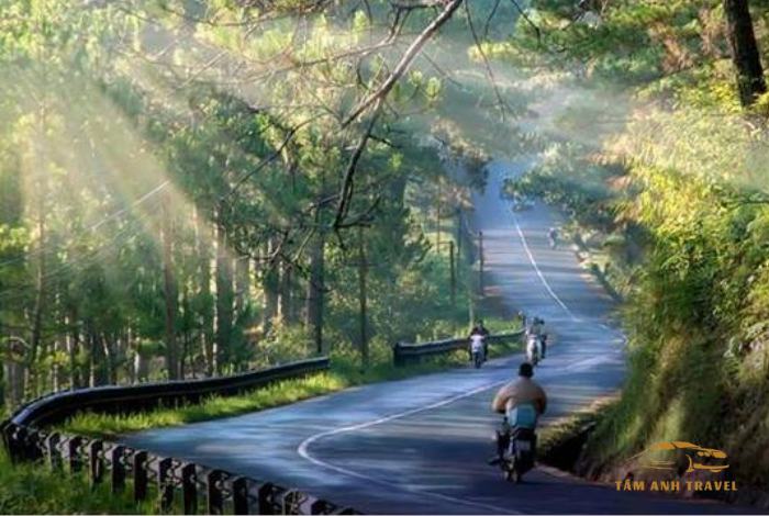 Mùa Mưa Đà Lạt: Kinh Nghiệm Vui Chơi Và Khám Phá