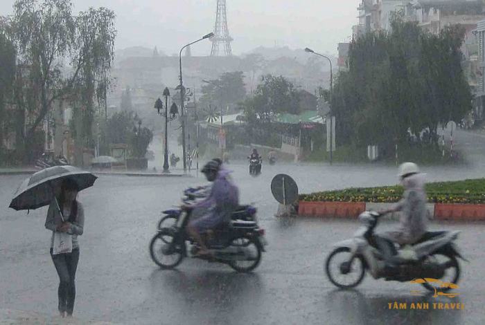 Mùa Mưa Đà Lạt: Kinh Nghiệm Vui Chơi Và Khám Phá