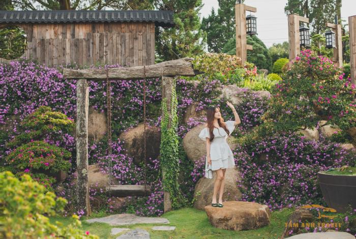 Que Garden Đà Lạt: Khu Vườn Bonsai Tuyệt Đẹp Trên Cao Nguyên