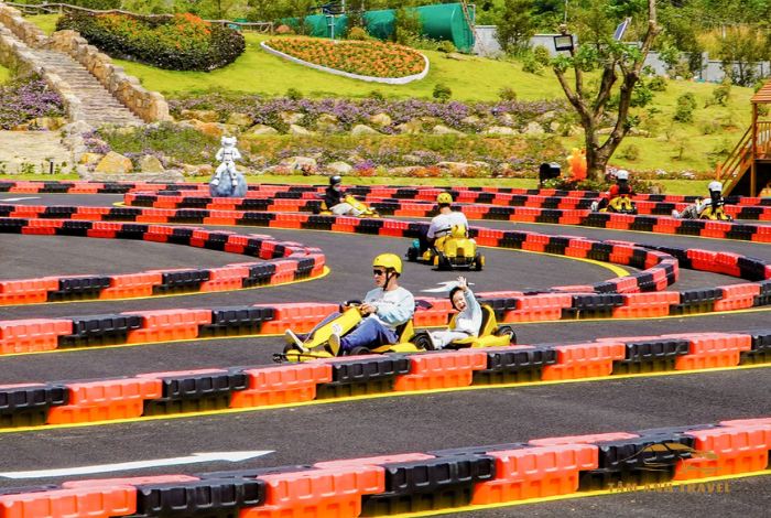 Hoạt Động Thú Vị Tại Rừng Thông Núi Voi Đà Lạt