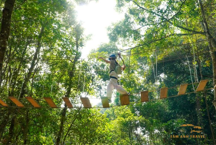 Hoạt Động Thú Vị Tại Rừng Thông Núi Voi Đà Lạt