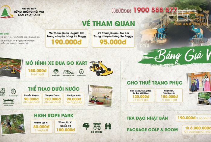 Hoạt Động Thú Vị Tại Rừng Thông Núi Voi Đà Lạt