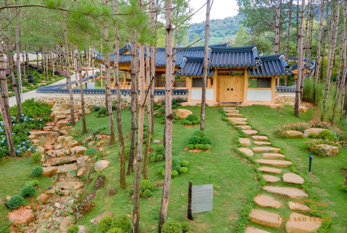 Hoạt Động Thú Vị Tại Rừng Thông Núi Voi Đà Lạt