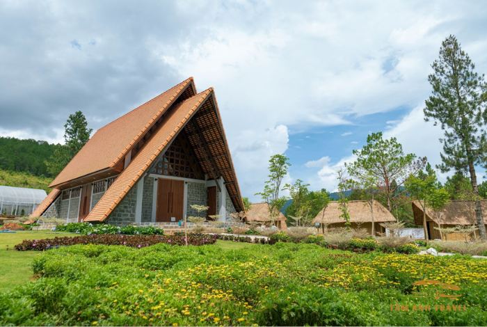 Hoạt Động Thú Vị Tại Rừng Thông Núi Voi Đà Lạt