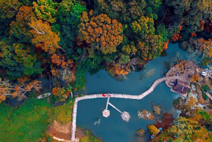 Secret Garden Đà Lạt: Điểm Đến Huyền Bí Cho Tín Đồ Sống Ảo