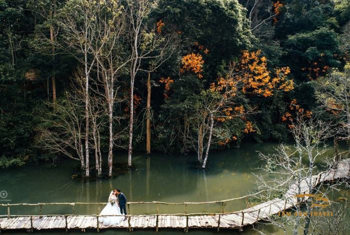 Secret Garden Đà Lạt: Điểm Đến Huyền Bí Cho Tín Đồ Sống Ảo