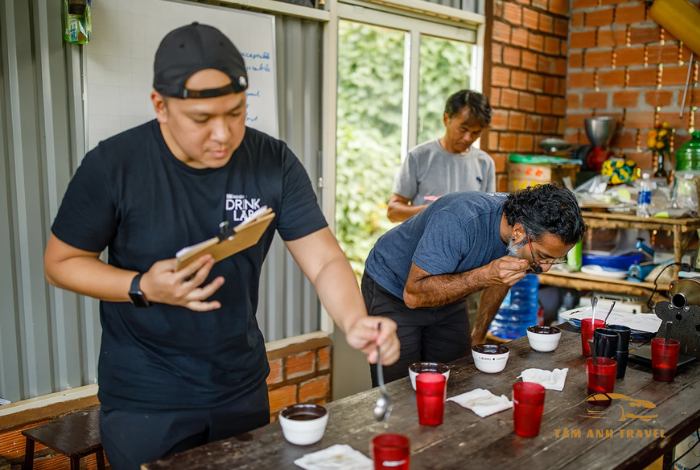 Top 5 Trang Trại Cafe Đà Lạt Đẹp Nhất Không Thể Bỏ Qua