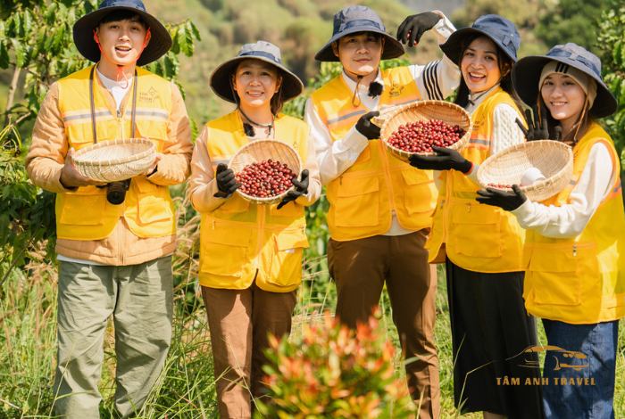Top 5 Trang Trại Cafe Đà Lạt Đẹp Nhất Không Thể Bỏ Qua