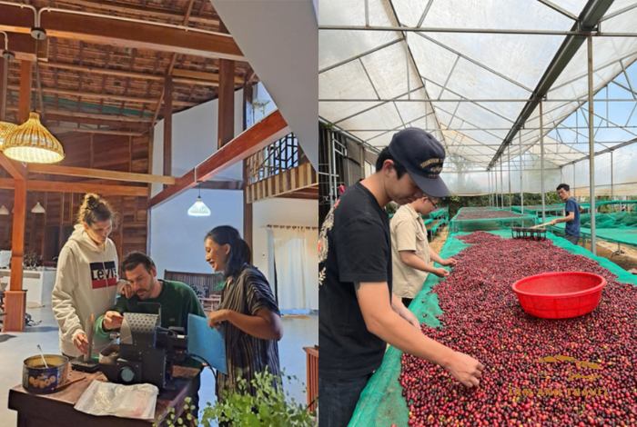 Top 5 Trang Trại Cafe Đà Lạt Đẹp Nhất Không Thể Bỏ Qua