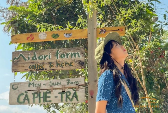 Top 5 Trang Trại Cafe Đà Lạt Đẹp Nhất Không Thể Bỏ Qua