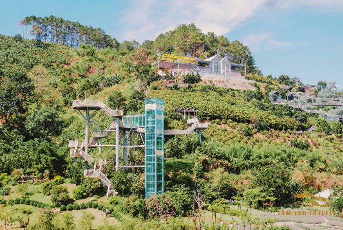 Điểm du lịch chuồn chuồn Đà Lạt