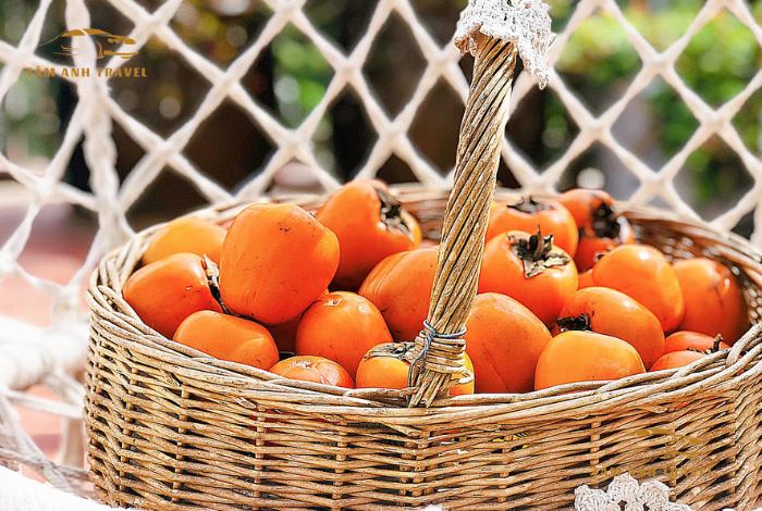 Hồng treo gió Đà Lạt - Địa chỉ mua uy tín, chất lượng tại Đà Lạt