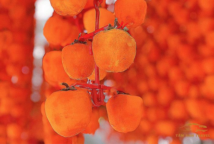 Hồng treo gió Đà Lạt - Địa chỉ mua uy tín, chất lượng tại Đà Lạt