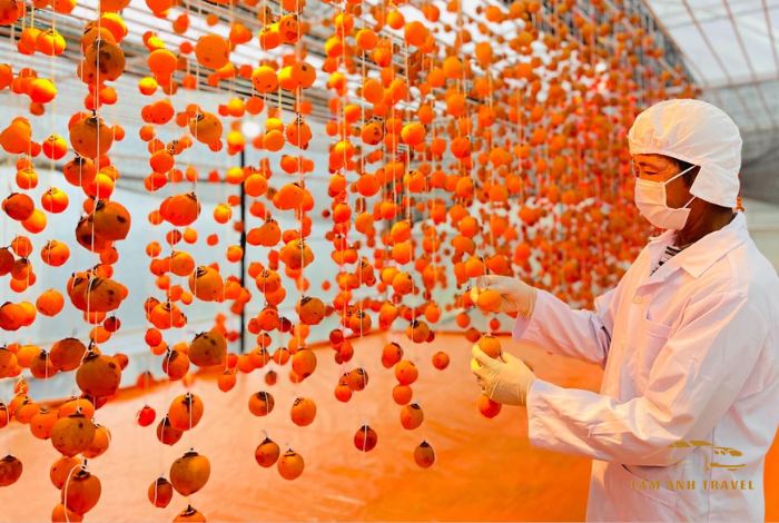 Vườn hồng treo gió Đà Lạt chuẩn công nghệ Nhật Bản