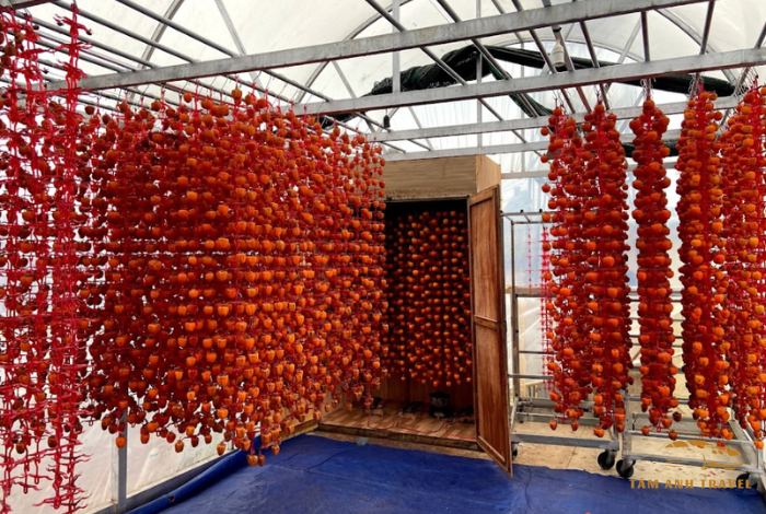 Vườn hồng treo gió Đà Lạt chuẩn công nghệ Nhật Bản
