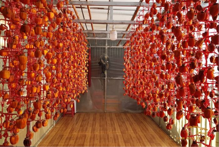 Vườn hồng treo gió Đà Lạt chuẩn công nghệ Nhật Bản