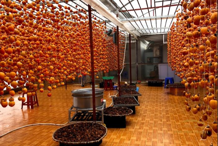Vườn hồng treo gió Đà Lạt chuẩn công nghệ Nhật Bản