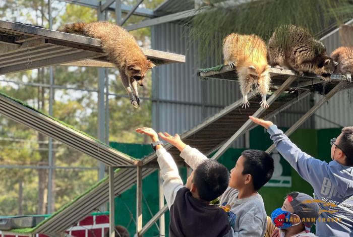 Khu vui chơi trẻ em ở Đà Lạt