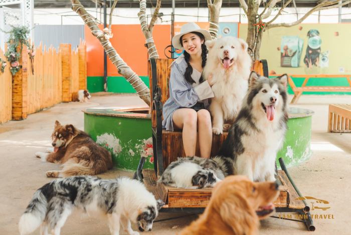 Khu vui chơi trẻ em ở Đà Lạt