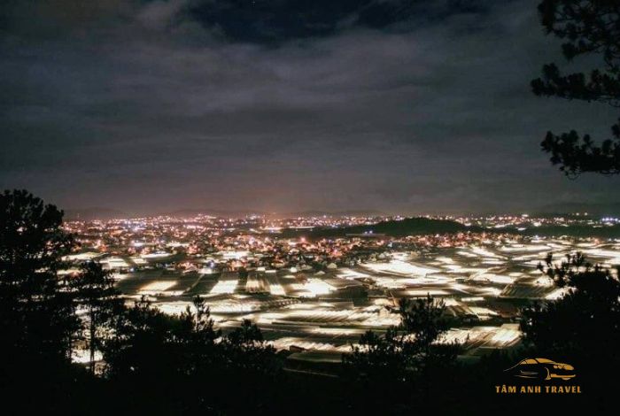 Cafe Panorama Đà Lạt: Không gian chill, view đẹp, sống ảo cực chất