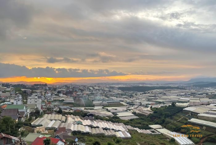 Cafe Panorama Đà Lạt: Không gian chill, view đẹp, sống ảo cực chất