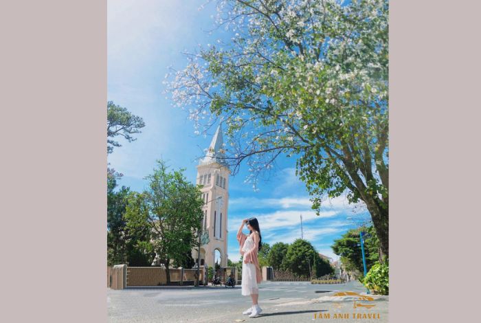 Du lịch Đà Lạt tháng 1 - Mùa ngập tràn sắc hoa và lễ hội