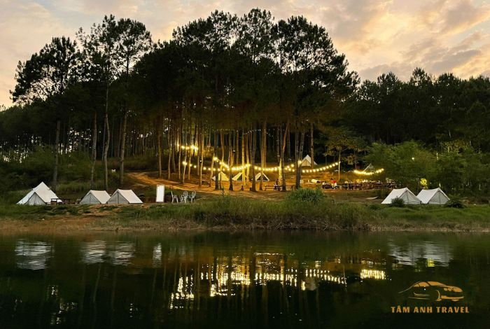 Trải nghiệm cắm trại tại Pineforest Camping Đà Lạt