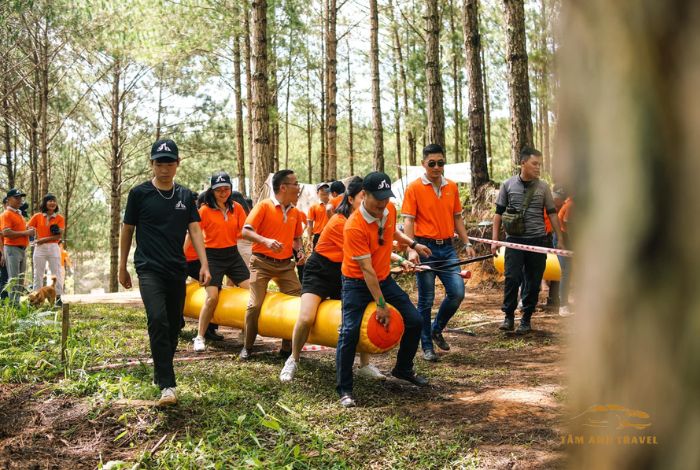 Trải nghiệm cắm trại tại Pineforest Camping Đà Lạt