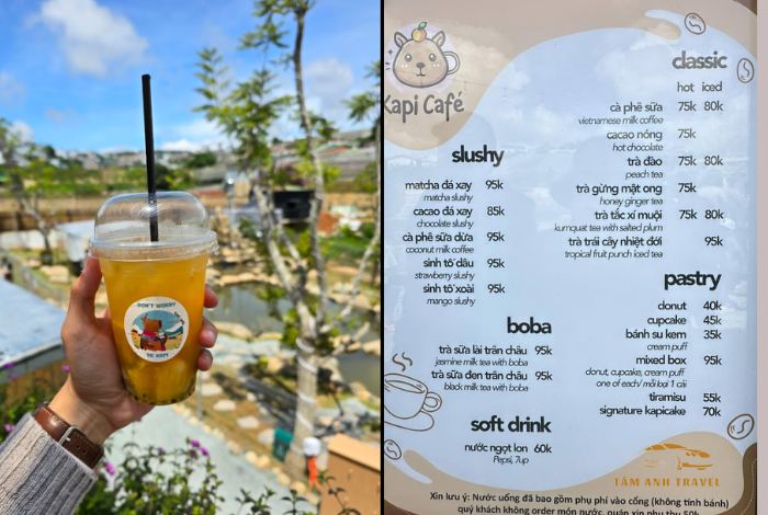 Review trải nghiệm thú vị tại quán Cafe Capybara Đà Lạt