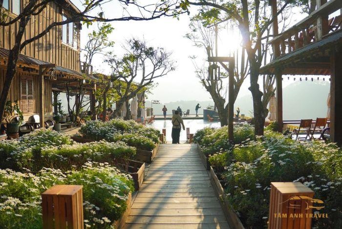 Cafe bình minh ơi Đà Lạt - Chốn thiên đường săn mây cực chill